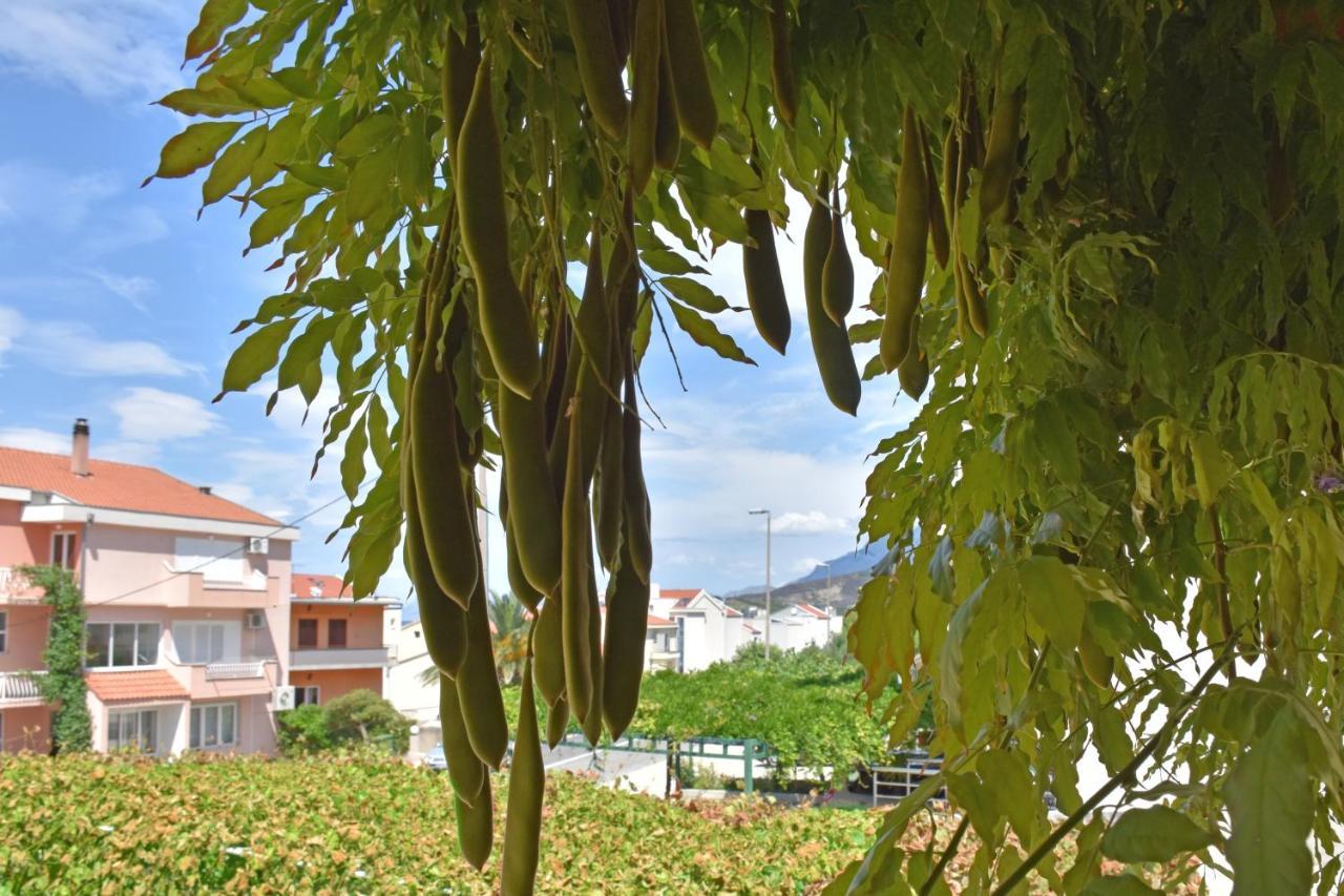 Apartments Stone Tučepi Kültér fotó